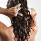 Plan Nutrición Cabello Seco